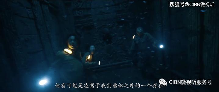 救援狗与猫